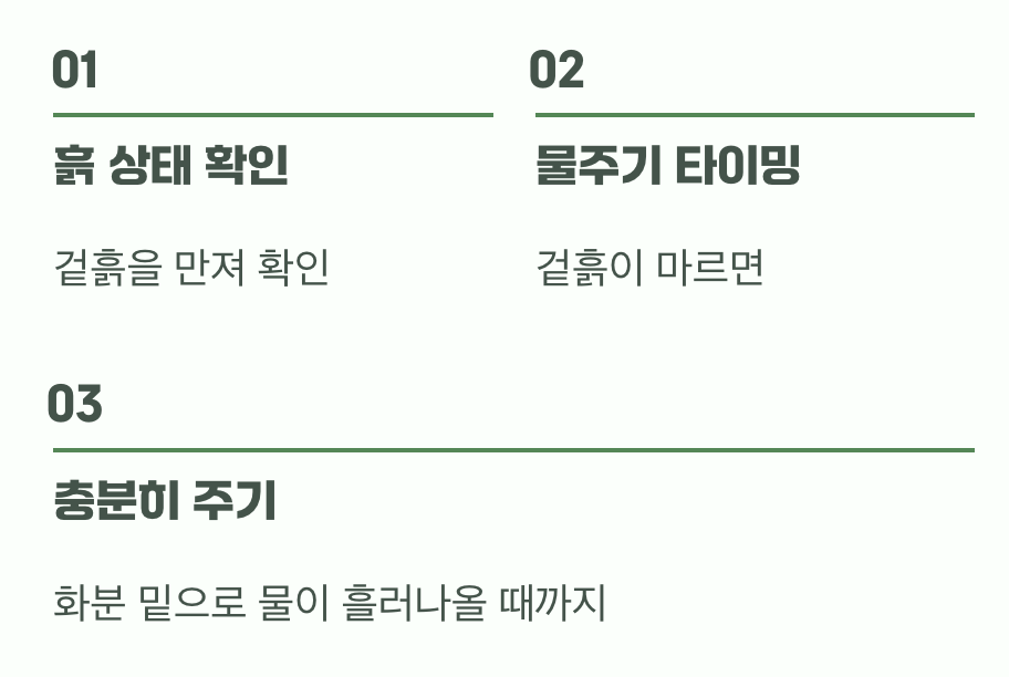 과하지도 부족하지도 않은 물주기