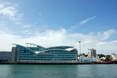 자갈치 시장
Jagalchi Fish Market / Busan seafood market
