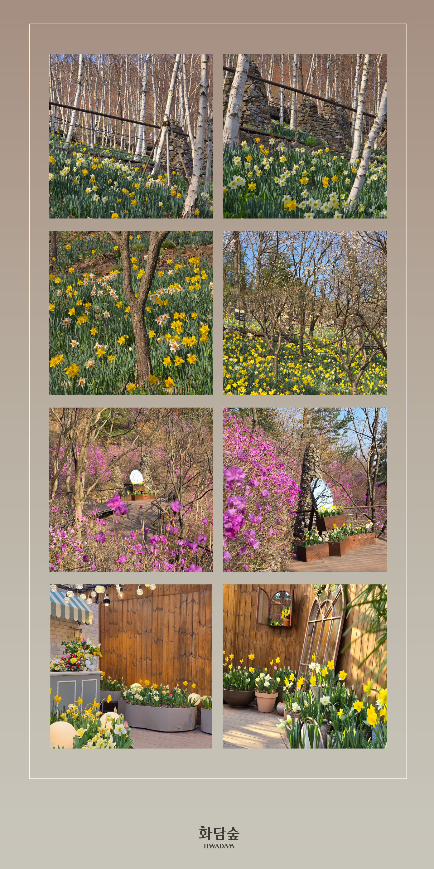 화담숲 모노레일 예약