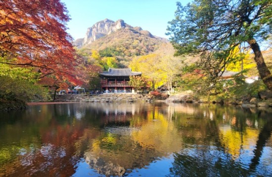 내장산-단풍축제-백양사