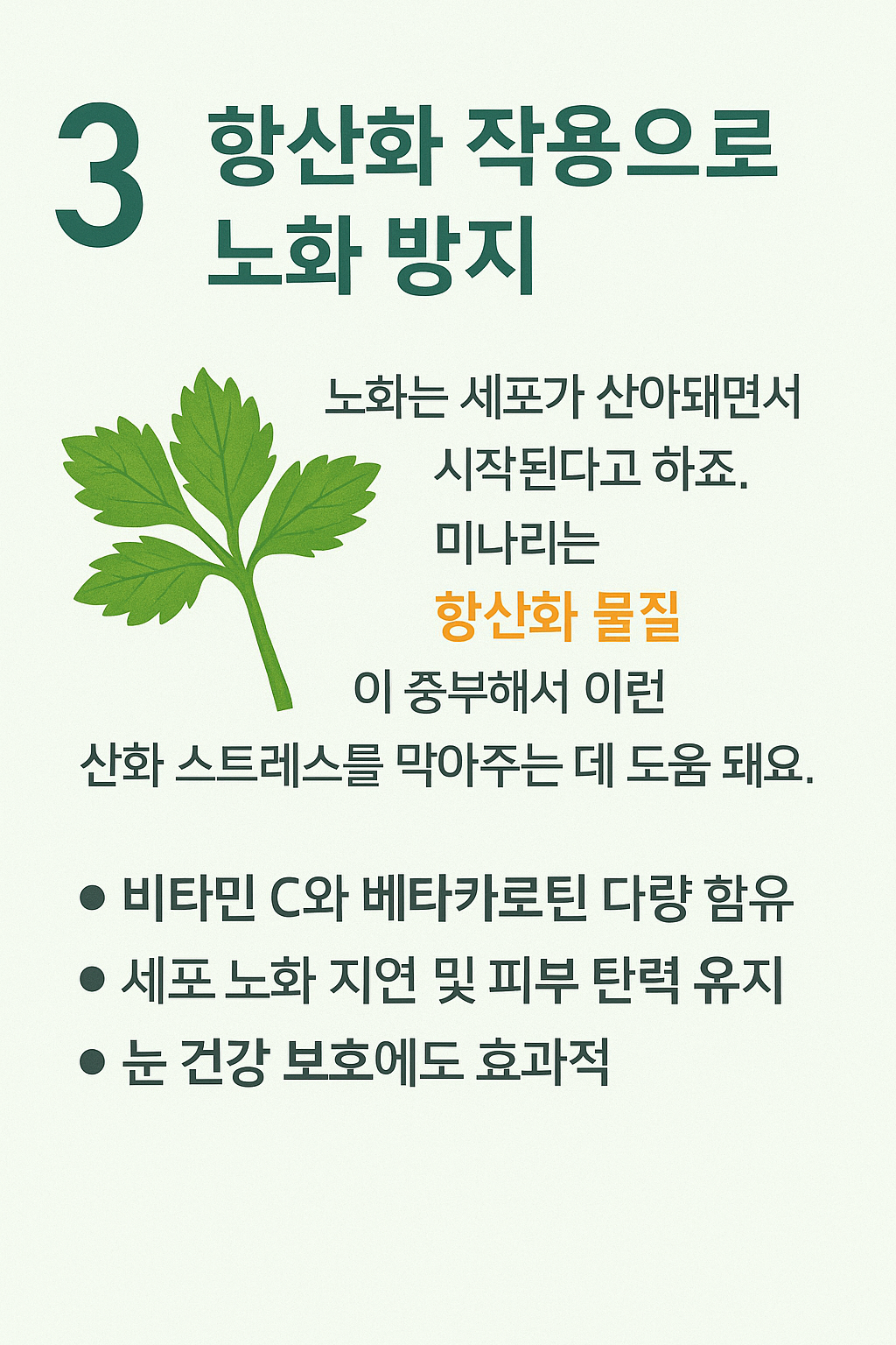 항산화 작용으로 노화 방지