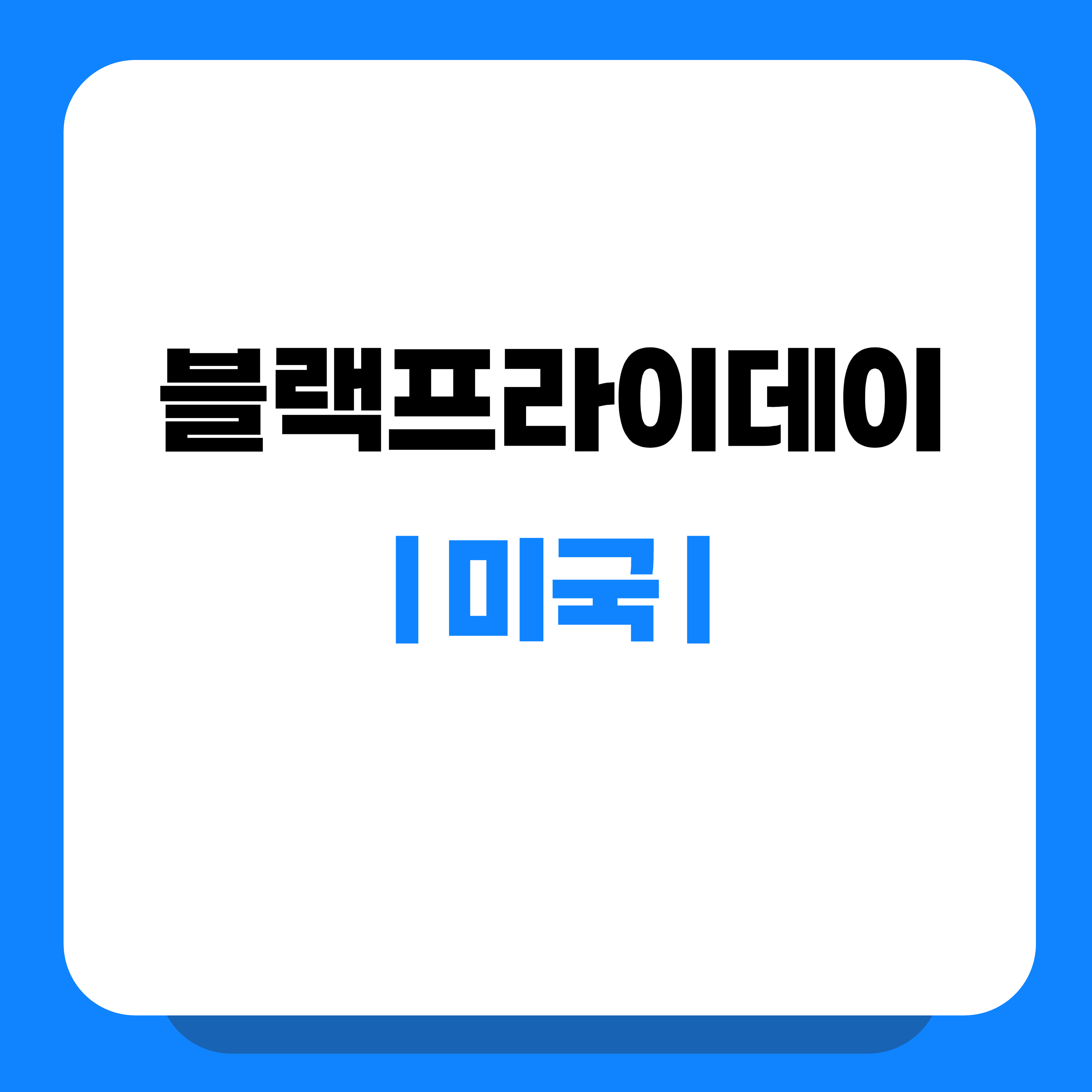 미국 블랙프라이데이 세일기간