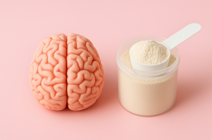 분홍 배경 위에 뇌 모형과 단백질 보충제가 나란히 놓인 모습으로 단백질과 뇌 건강의 연결을 상징하는 이미지