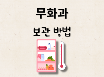 무화과 보관방법