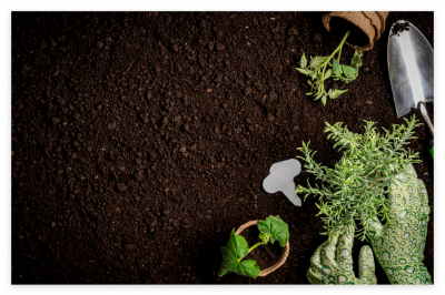 가드닝-텃밭-가꾸기