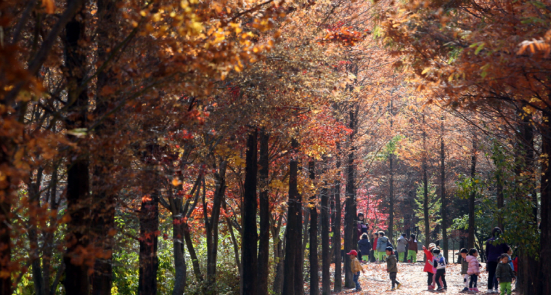 상소동 산림욕장