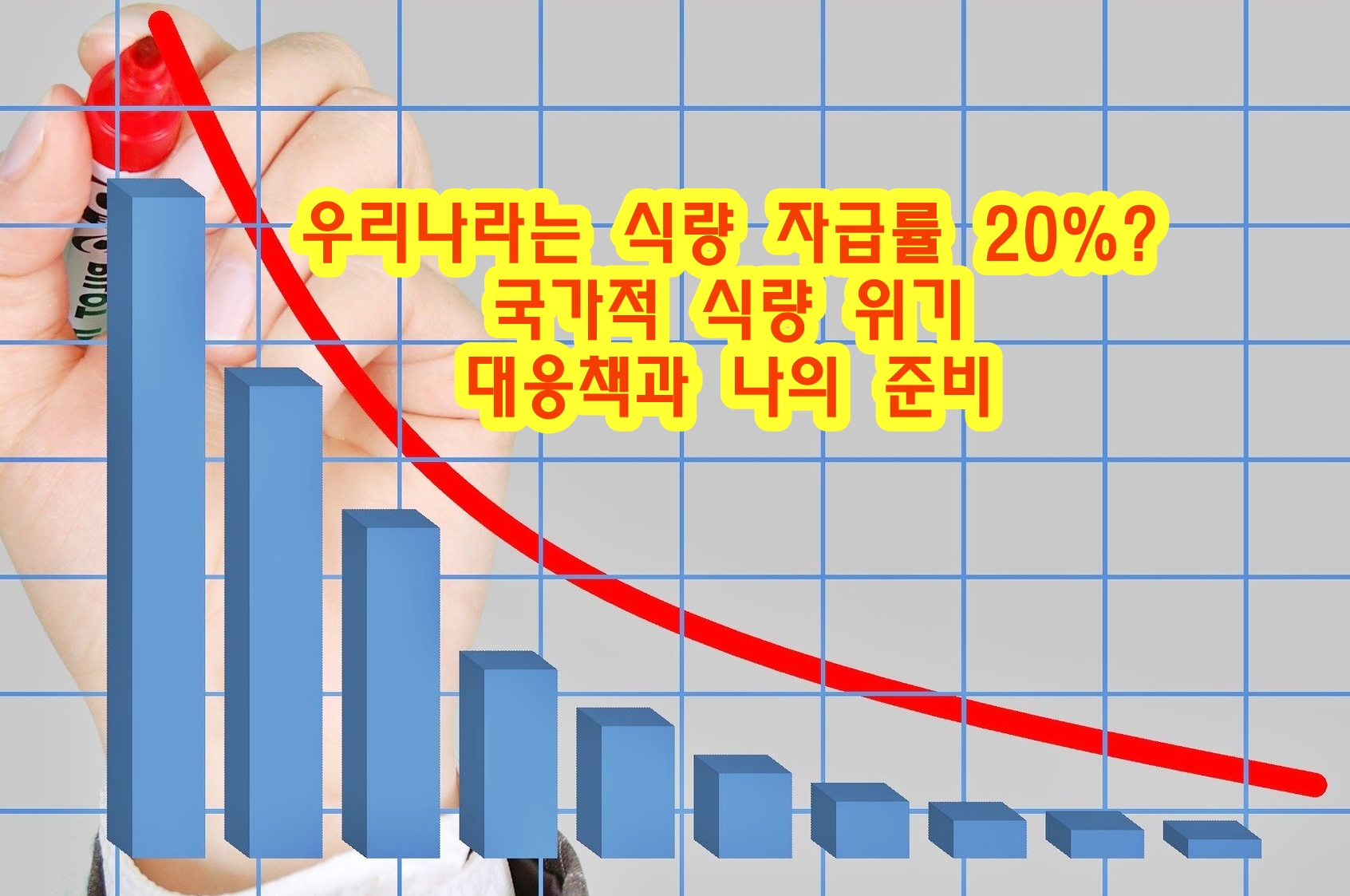 우리나라는 식량 자급률 20%? 국가적 식량 위기 대응책과 나의 준비