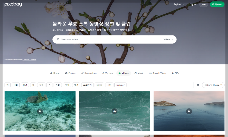 저작권 무료 동영상 다운로드 사이트 추천, pixabay 픽사베이