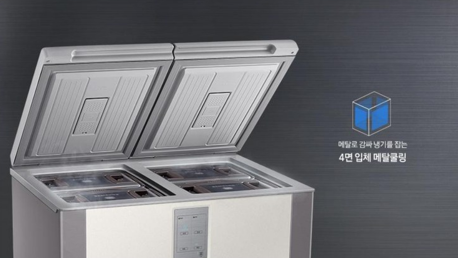 삼성 김치플러스 2도어 김치 냉장고 RP22A3111Z3 디자인