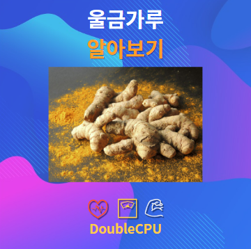 울금가루 알아보기