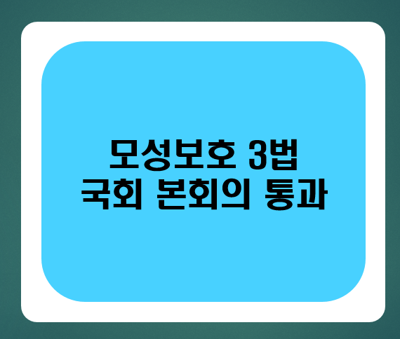 모성보호 3법 국회 통과