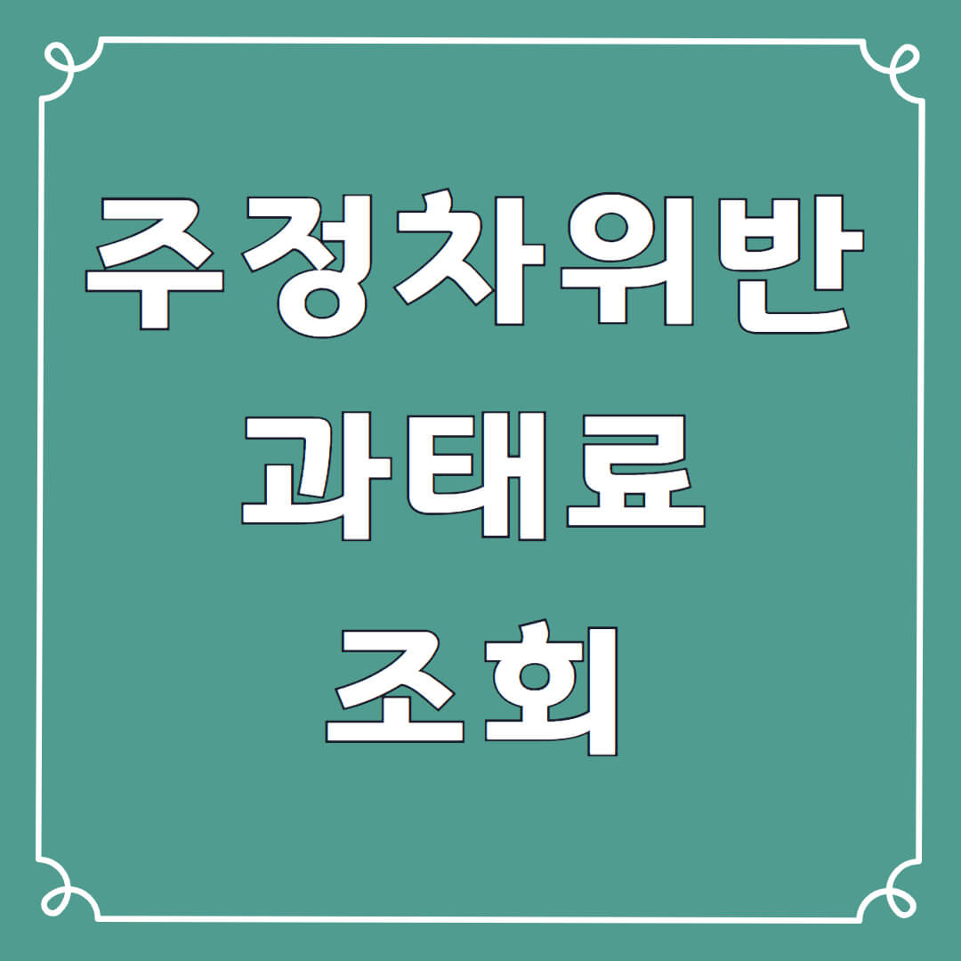 주정차 위반 과태료 조회 기준 납부방법