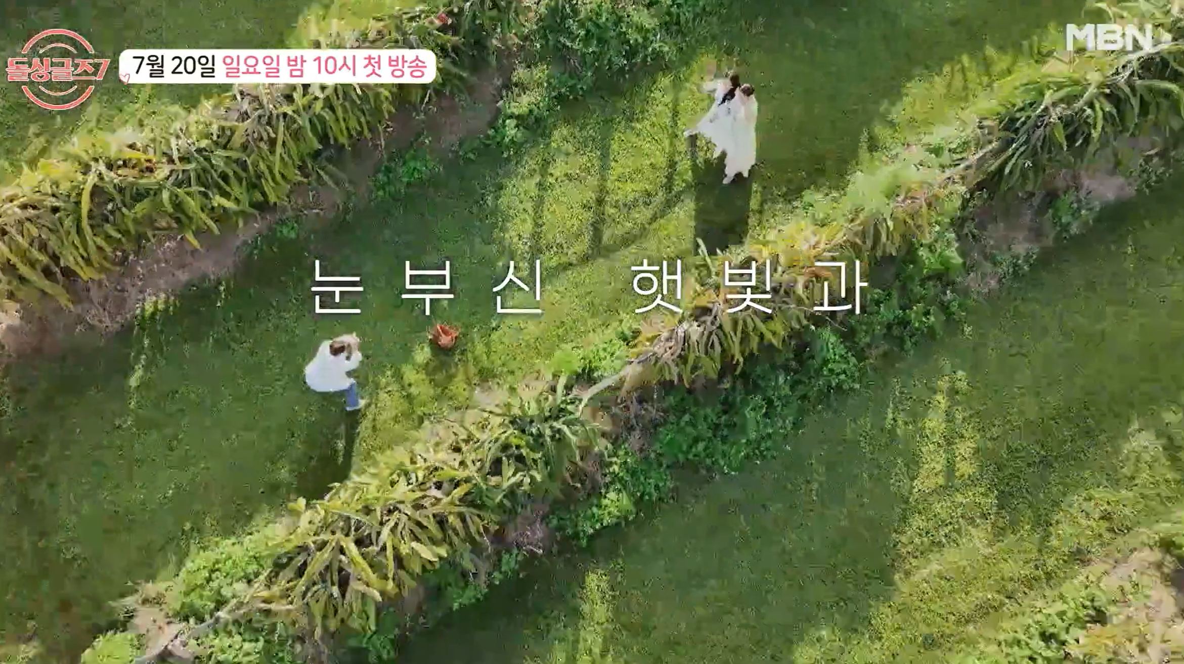 돌싱글즈7 출연진