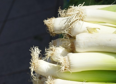 대파 초록 잎으로 만든 시원한 파잎 냉국