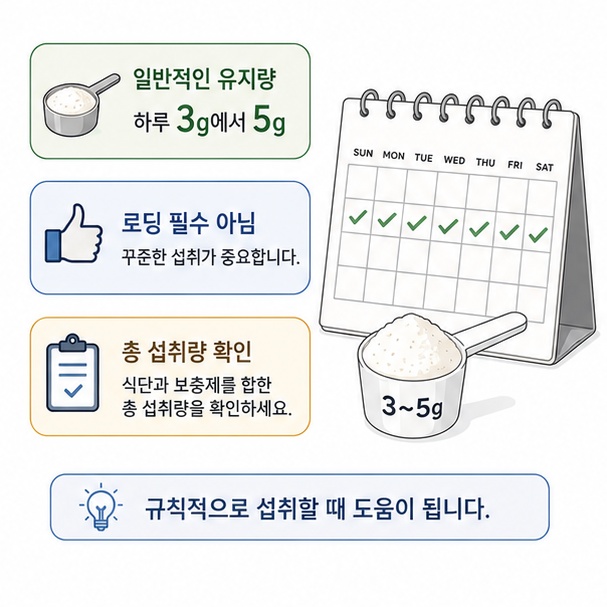 크레아틴을 하루 3g에서 5g 정도 꾸준히 섭취하는 일반적인 방법과 로딩이 필수는 아니라는 점을 보여주는 그림