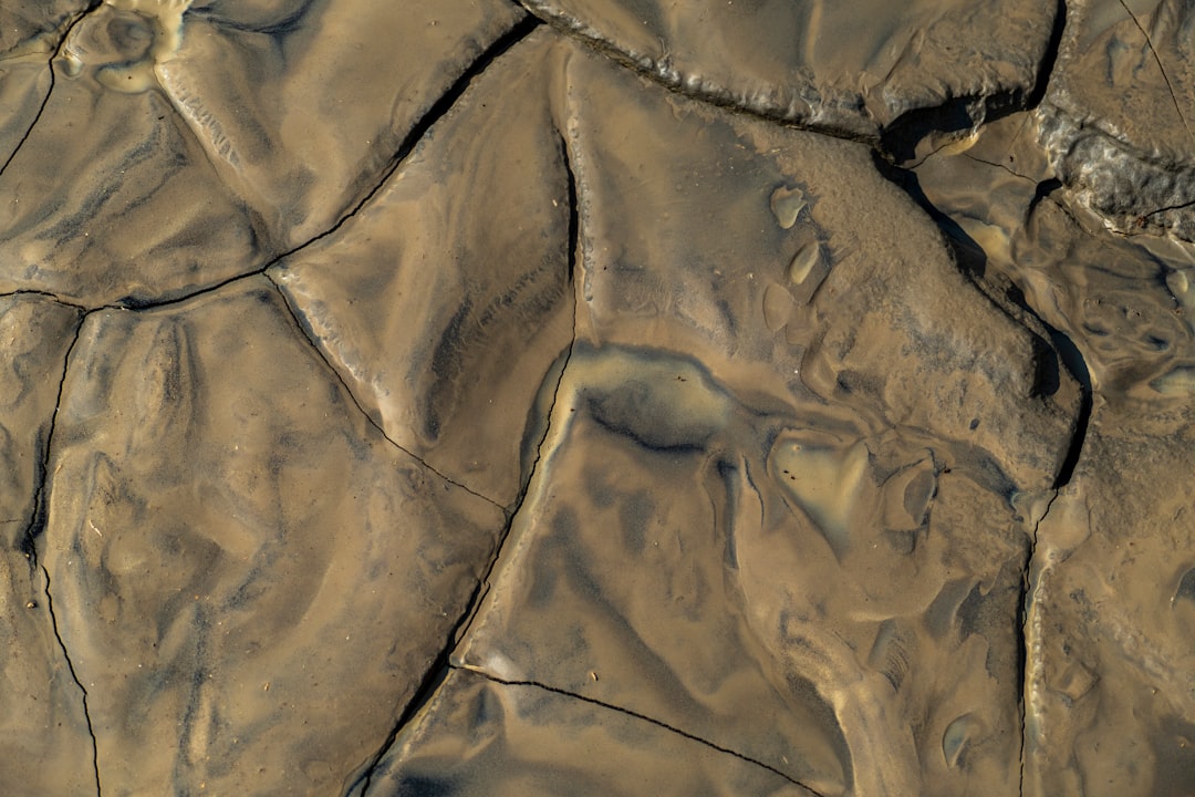 Geospatial