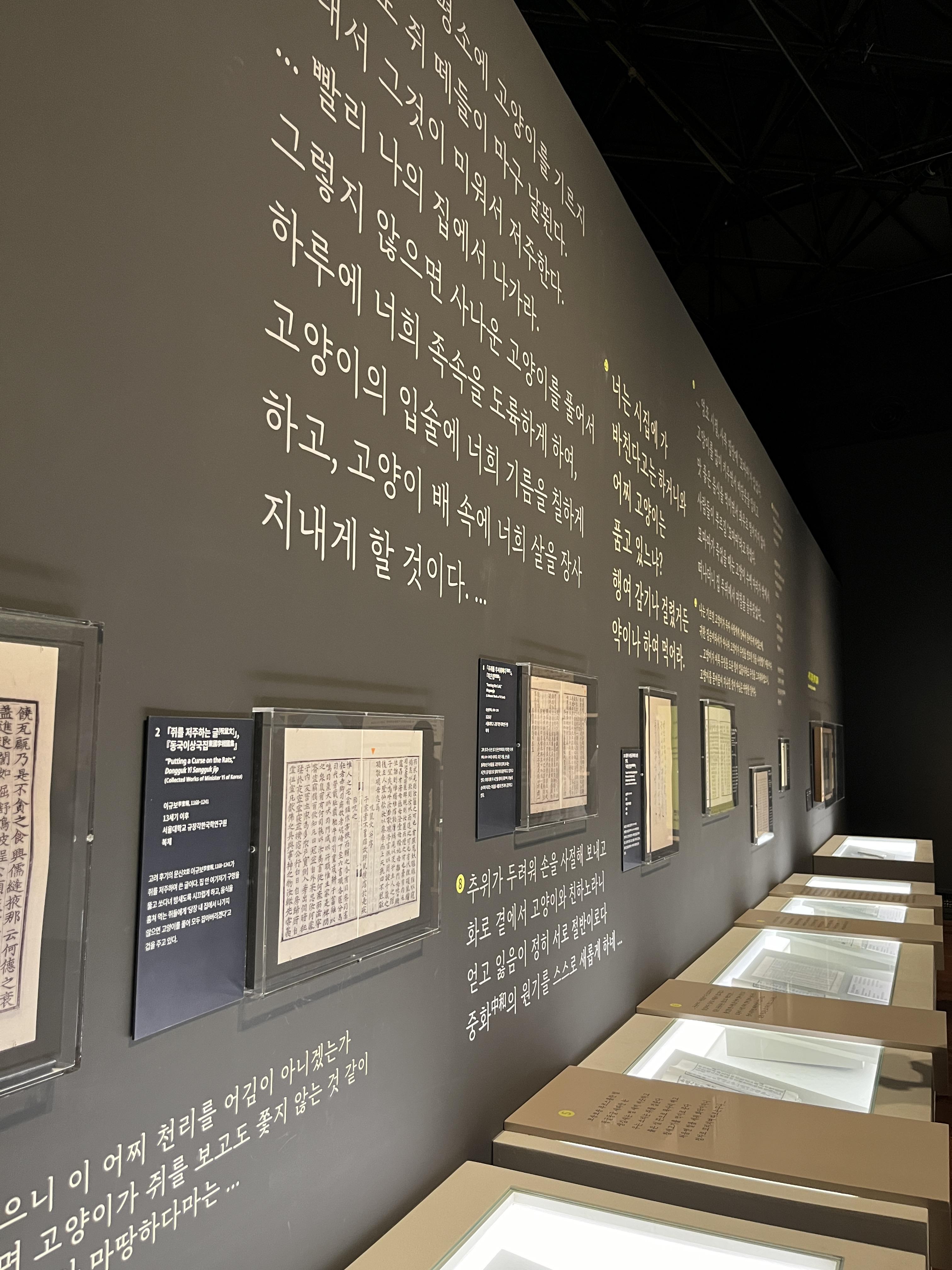 요물 우리를 홀린 고양이