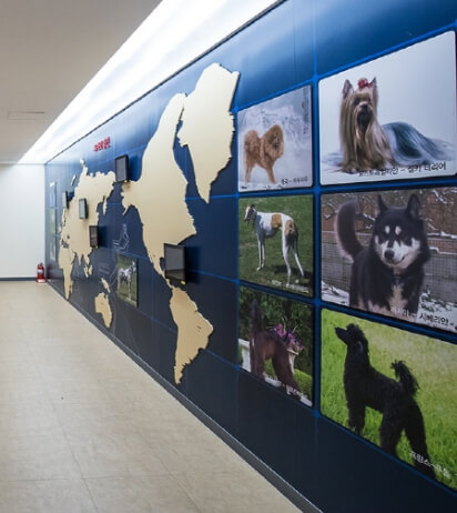 진도 가볼만한곳 베스트 10