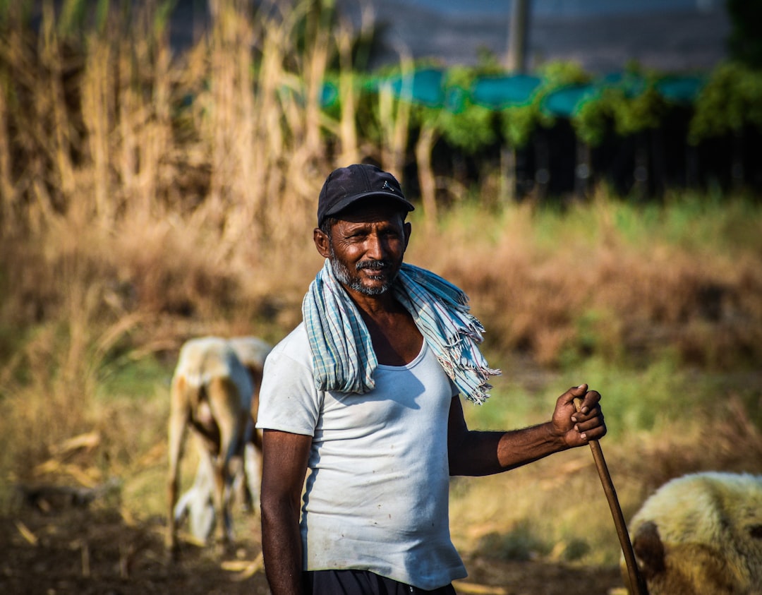 Farmers’ basic income.