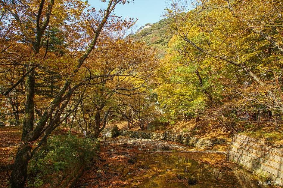 속리산 단풍 세조길 계곡 가을 풍경