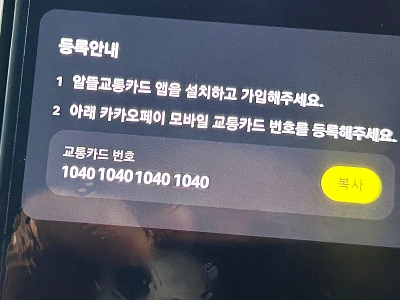 카카오페이 교통카드