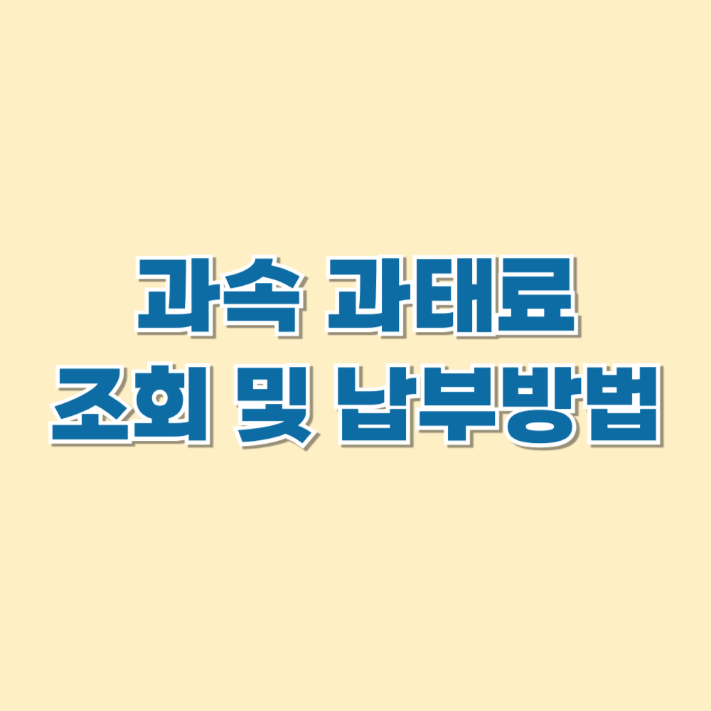 과속 과태료 조회 및 납부방법