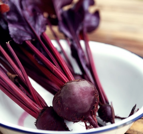 비트 먹는 방법