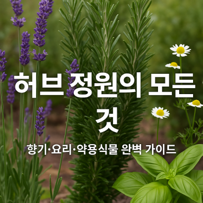 [정원가꾸기_실전편]초보 가드너를 위한 허브정원 입문서 : 향기와 효능, 식재법까지 한눈에