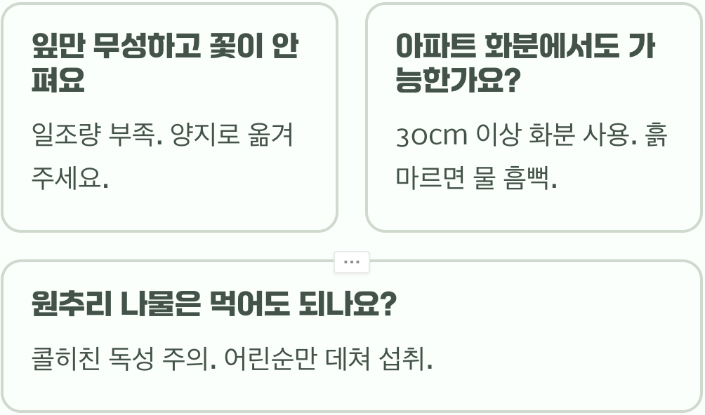 여름 정원의 강자 원추리, 실패 없이 심는 시기와 올바른 재배법 A to Z