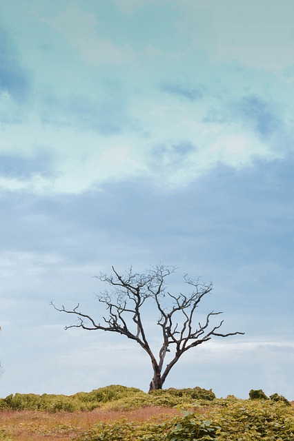 생명윤리 관점에서의 AI 의료 기술 컨설팅 쟁점