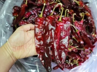 영양 고추 가격 시세 10근가격 현재 농산물 시세_8