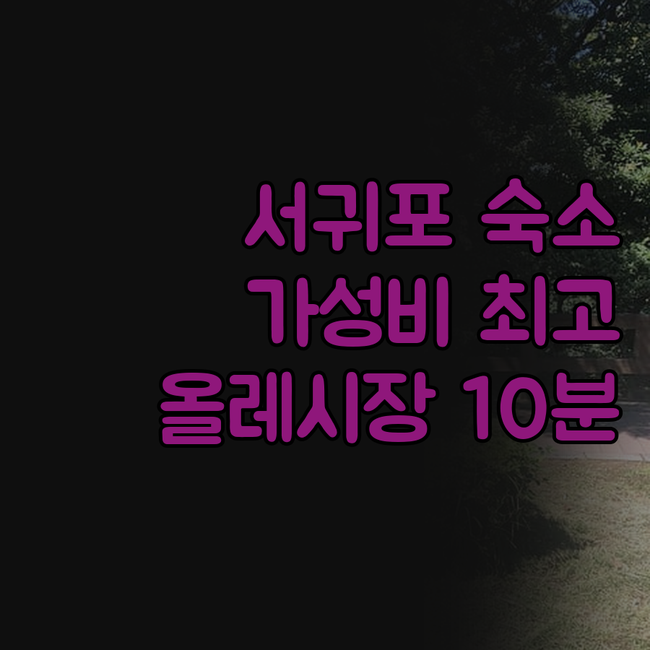 서귀포 가성비 숙소는 여기! 제주호텔