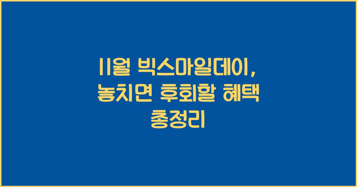 11월 빅스마일데이
