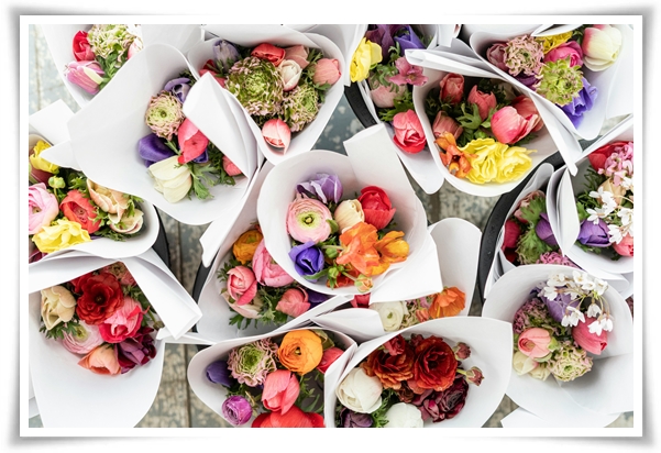 "라넌큘러스" 봄의 로맨스를 담은 매혹적인 매력의 꽃 봄의 요정!