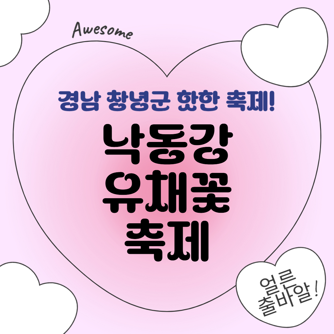 2025년 창녕 낙동강 유채꽃 축제 미리 확인하고 추억 남기자! 주차, 방문 꿀팁!