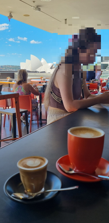 시드니 일몰 야경 인생샷