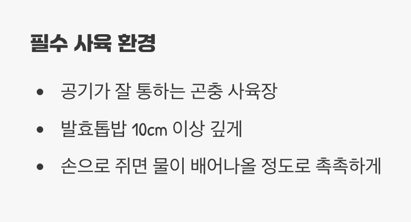 아늑한 숲속 집 꾸미기, '사육장 세팅'