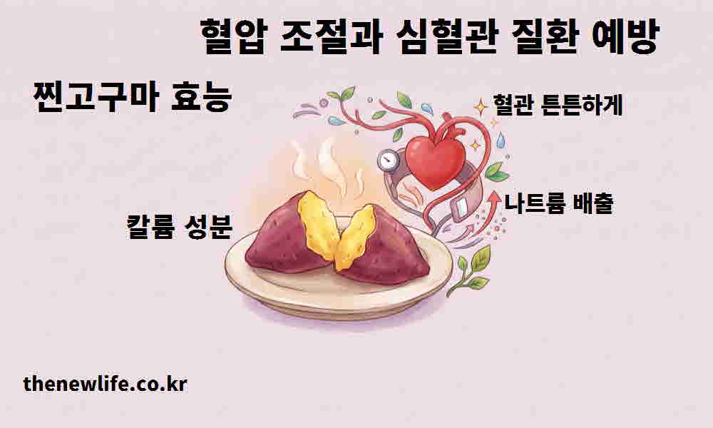 찐고구마 효능 혈압 조절 심혈관 질환 예방