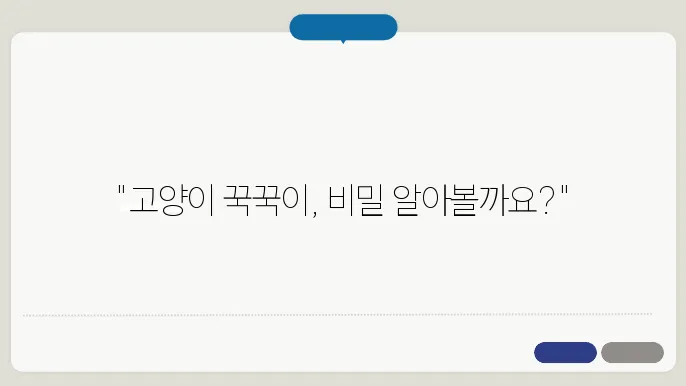 고양이가 꾹꾹이를 하는 이유 숨겨진 의미 대공개 dᆰ소개