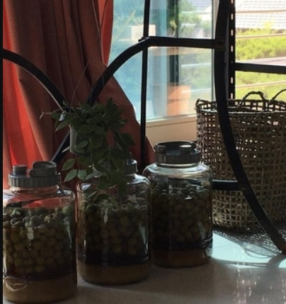 강수지 김국진 집