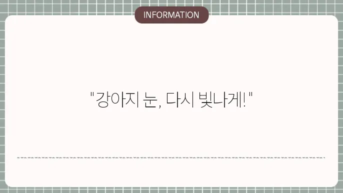 강아지 백내장 안약: