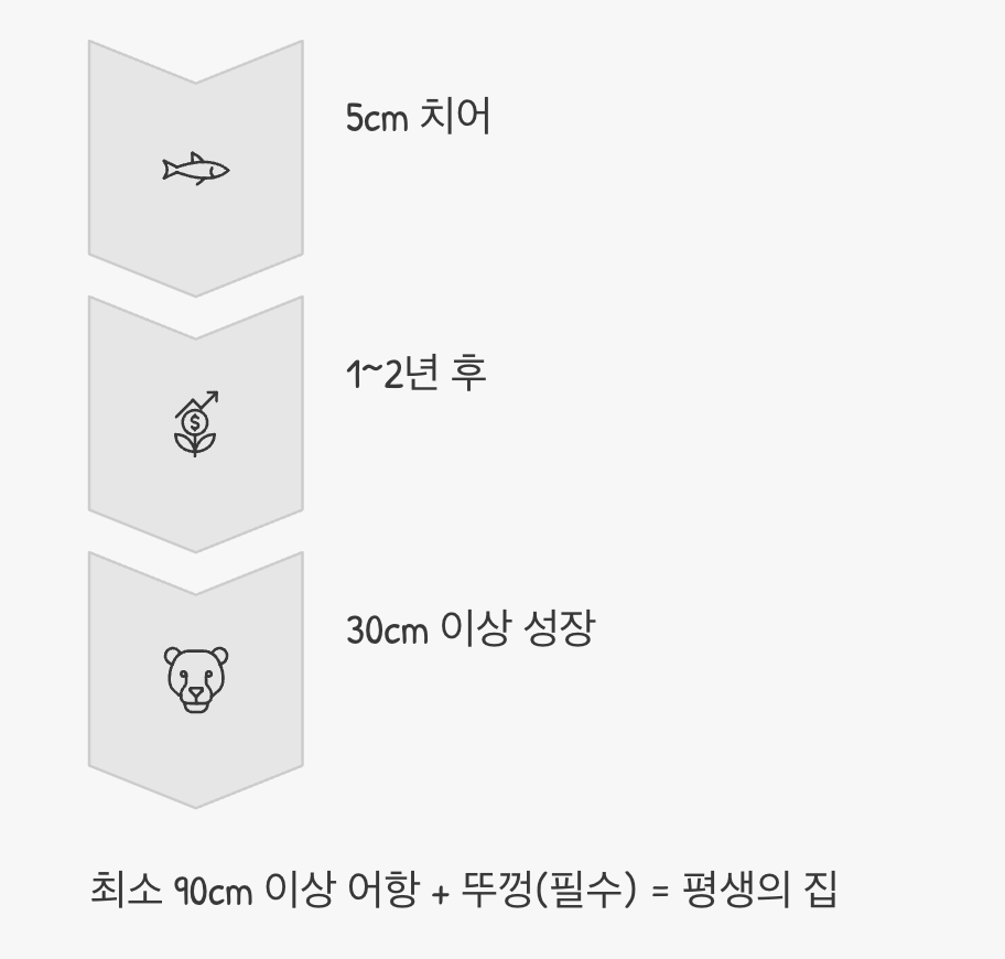 어항 - '평생의 집'을 준비하세요