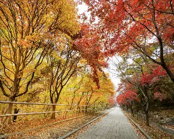 대둔산_20