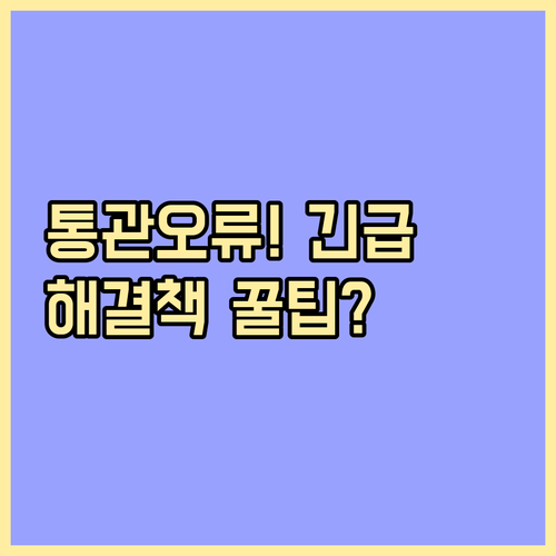 개인통관부호 오류로 인한 통관 지연 ..