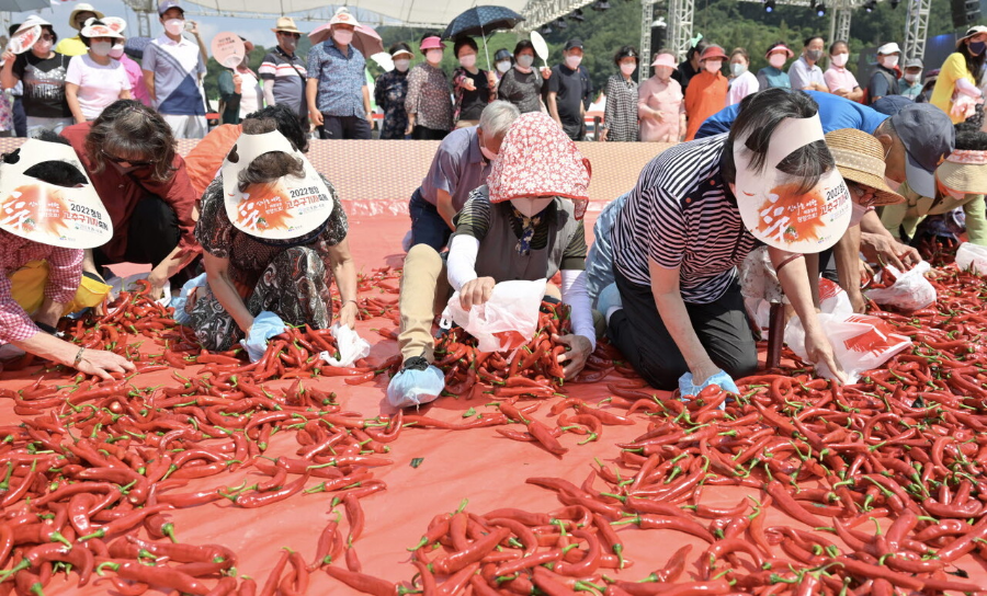 2026 청양 고추구기자축제