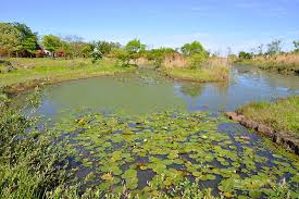 4월 제주도 가볼만한 곳 10곳