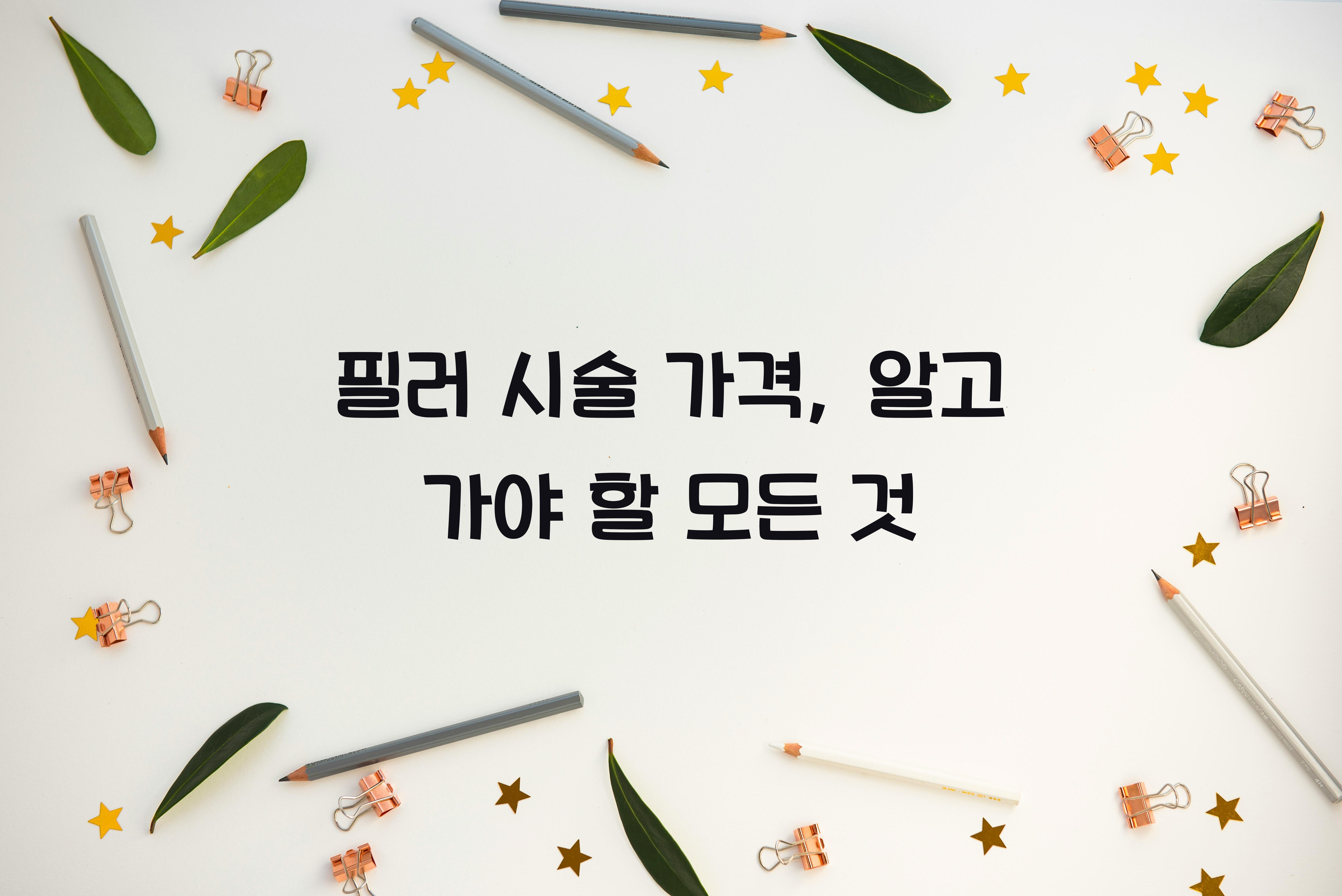 필러 시술 가격