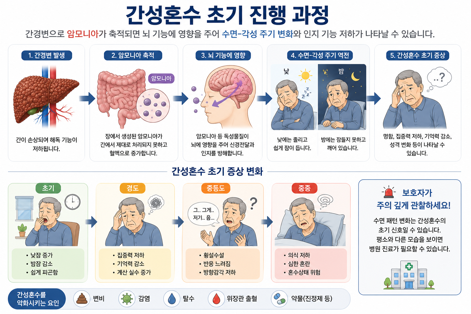 간경변 환자에서 암모니아 축적으로 인해 수면 변화와 간성혼수 초기 증상이 나타나는 과정을 설명하는 의료 인포그래픽 이미지