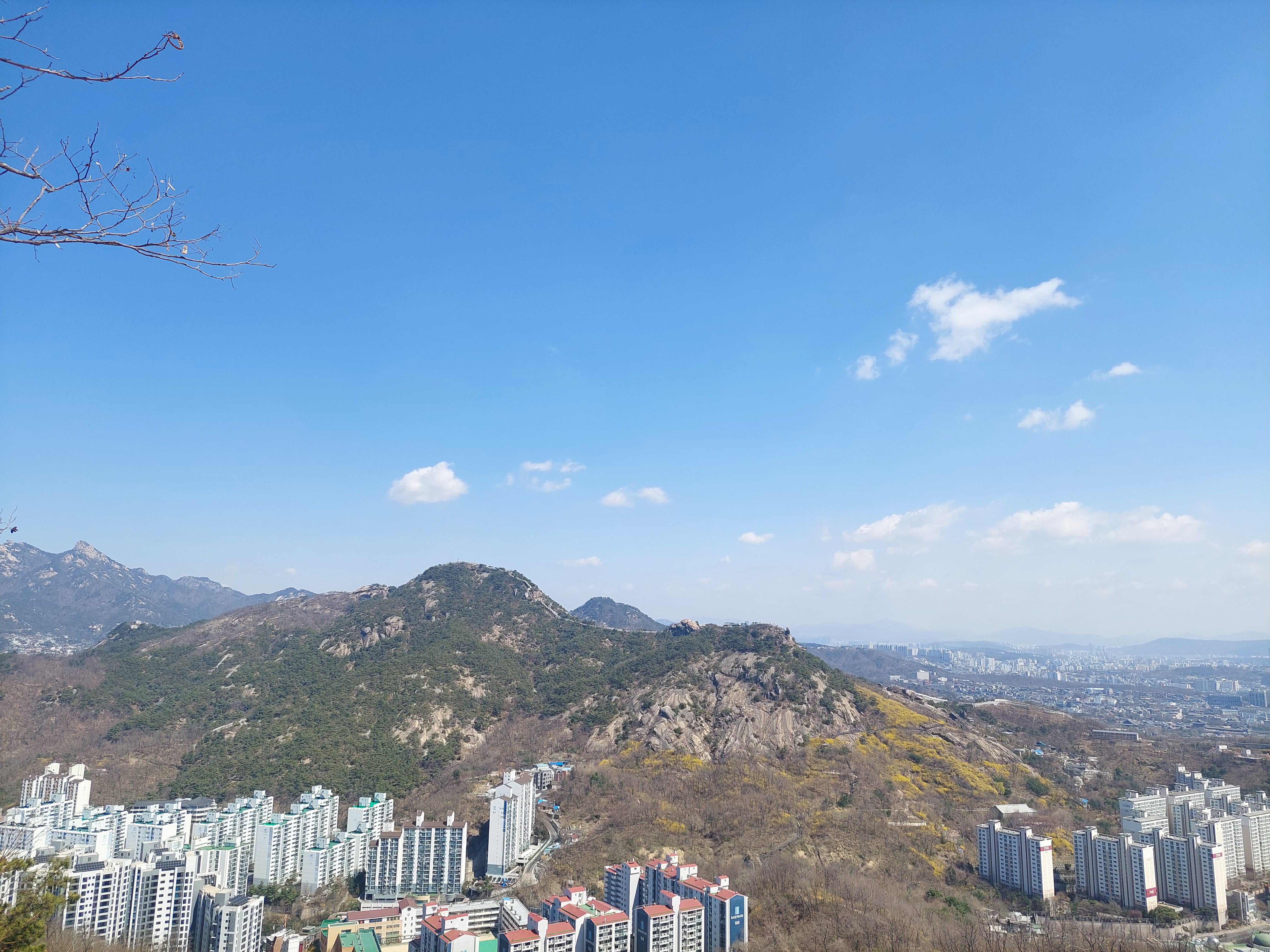 안산