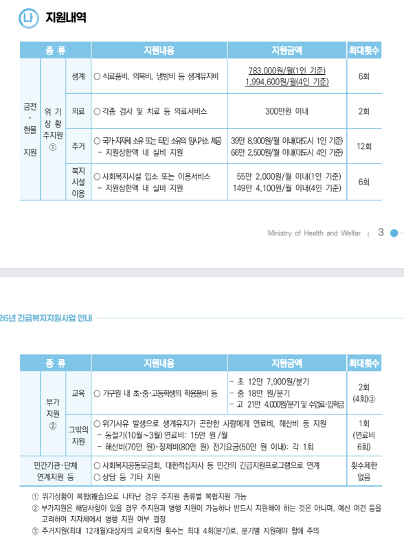 긴급복지 생계지원금 및 그 외 항목 지원 내역